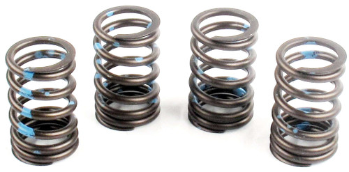 Engine Valve Spring | 66ERV-611S