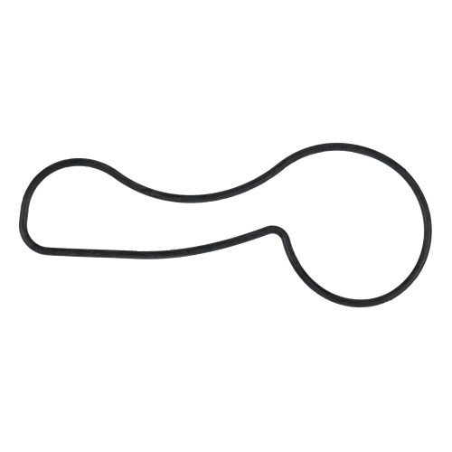 Engine Water Pump Seal | 55736146