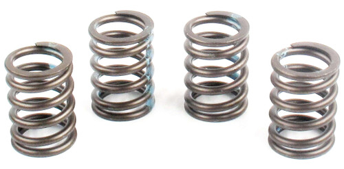 Engine Valve Spring | 66ERV-1373S