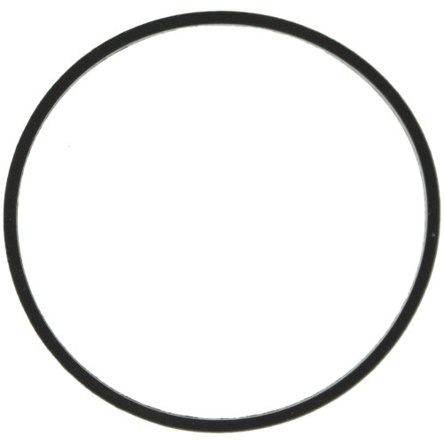 Fuel Injection Throttle Body Mounting Gasket | 55761638