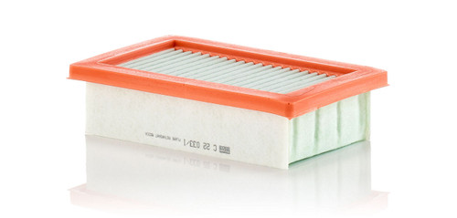 Air Filter Panel | MANC 22 033/1