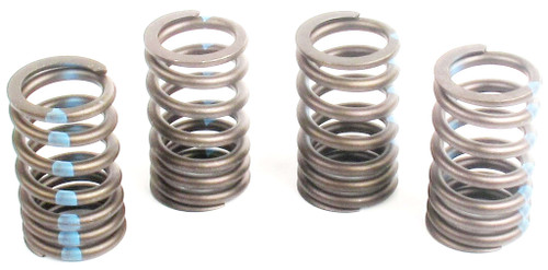 Engine Valve Spring | 66ERV-558S