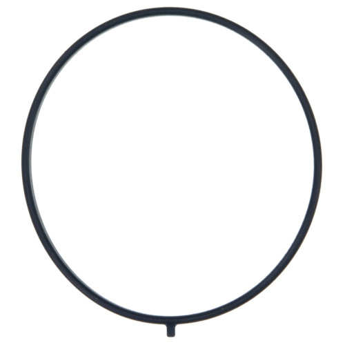 Fuel Injection Throttle Body Mounting Gasket | 55761595