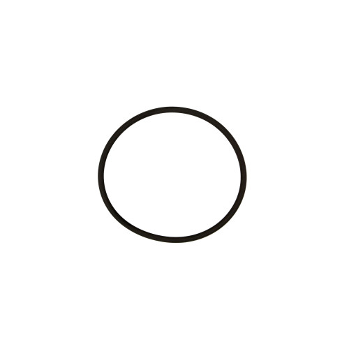 Axle Output Shaft Seal | 55755485