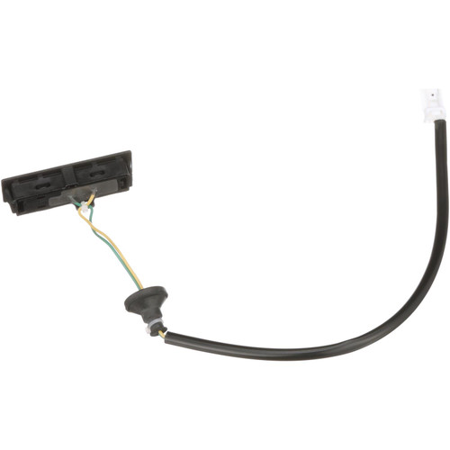 Liftgate Release Switch | BWDLGS313