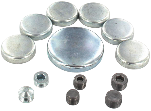 Engine Expansion Plug Kit | 66EEP125R