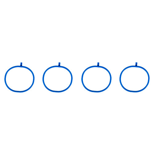 Fuel Injection Plenum Gasket Set | 557MS 97057