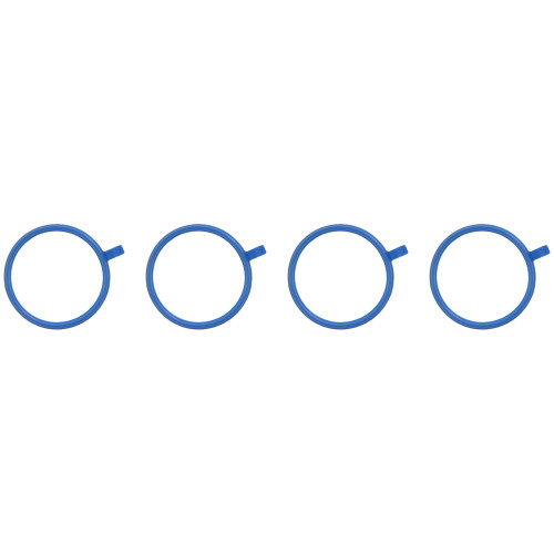 Fuel Injection Plenum Gasket Set | 557MS 97184
