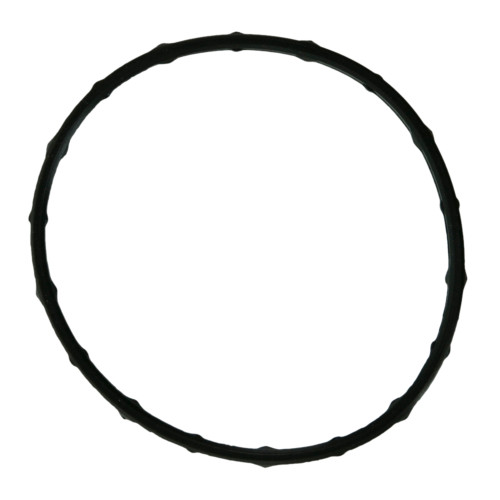 Engine Coolant Thermostat Housing Gasket | 55736007