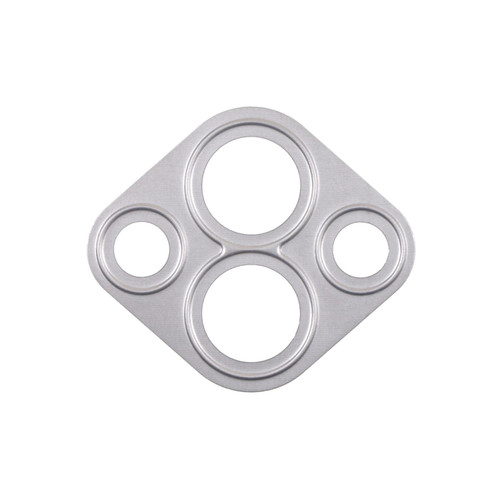 EGR Valve Mounting Gasket | BWDEVG184
