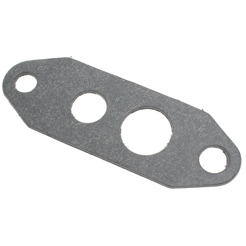 EGR Valve Mounting Gasket | BWDEVG17