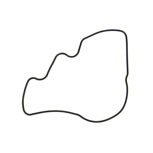 Engine Oil Pump Seal | 55772518