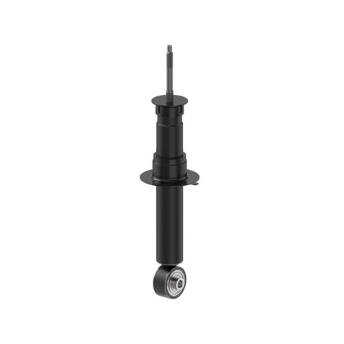 OESpectrum Rear Suspension Strut | MON72896