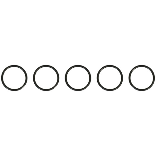 Distributor O-Ring | 557427 RR