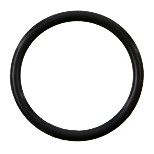Multi-Purpose O-Ring | 55736132
