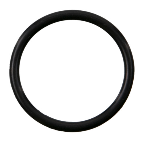 Multi-Purpose O-Ring | 55736132