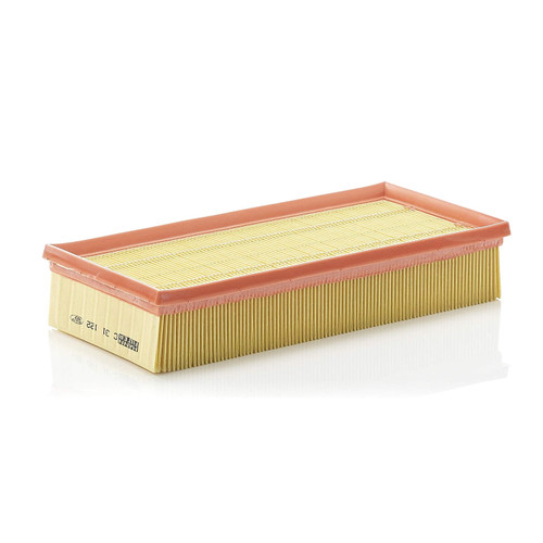 Air Filter Panel | MANC 31 122