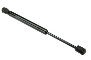 Trunk Strut | UROFD0816550