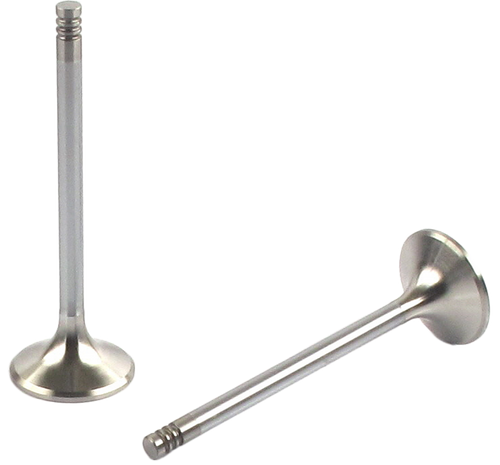 Engine Exhaust Valve (Qty 1) | 66EE-5239B