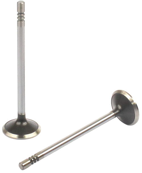 Engine Exhaust Valve (Qty 1) | 66EE-5287B