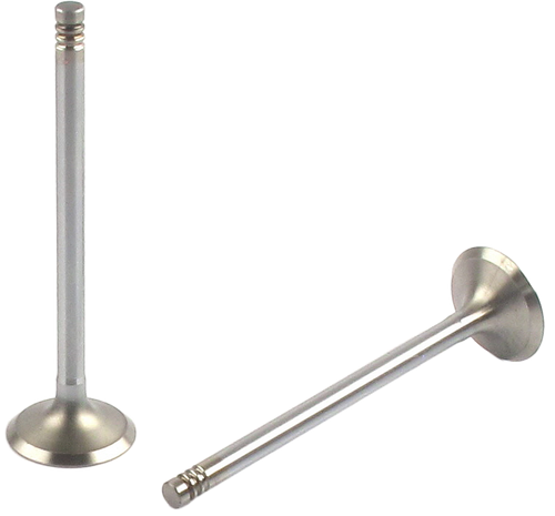 Engine Exhaust Valve | 66EE-3419B