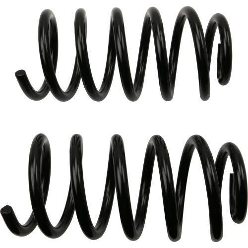 Coil Spring Set | MOO81647