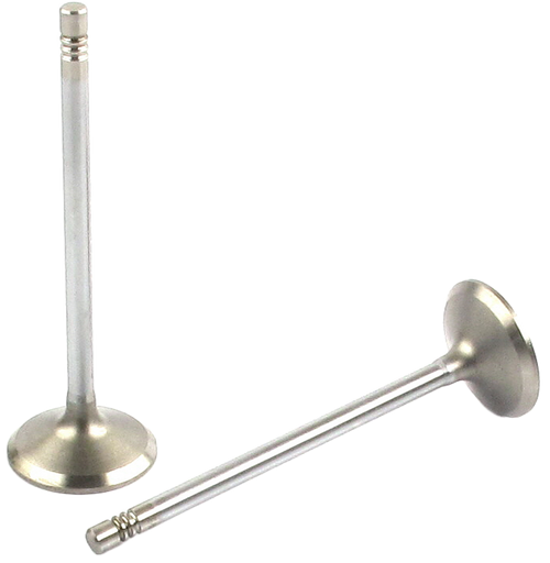 Engine Exhaust Valve | 66EE-5195B