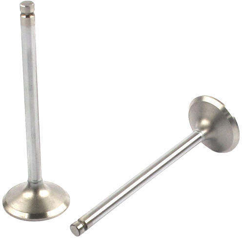 Engine Exhaust Valve | 66EE-3445B