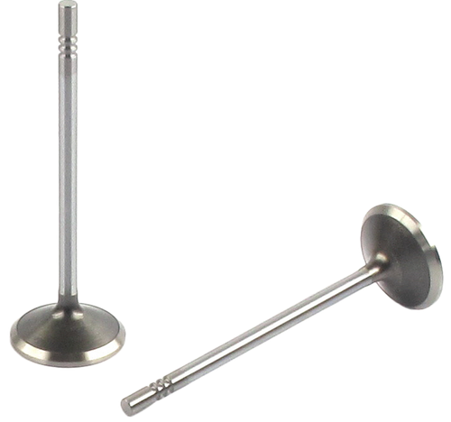 Engine Exhaust Valve (Qty 1) | 66EE-5071B