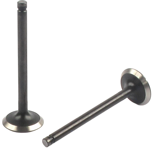 Engine Exhaust Valve | 66EE-2475B