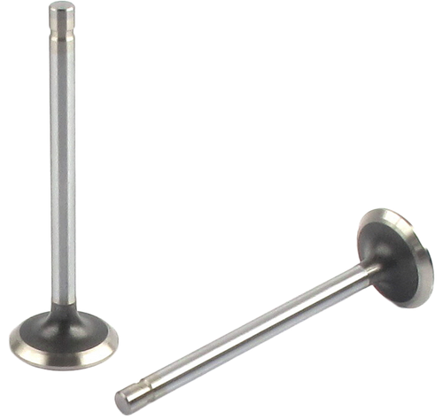 Engine Exhaust Valve (Qty 1) | 66EE-2689B