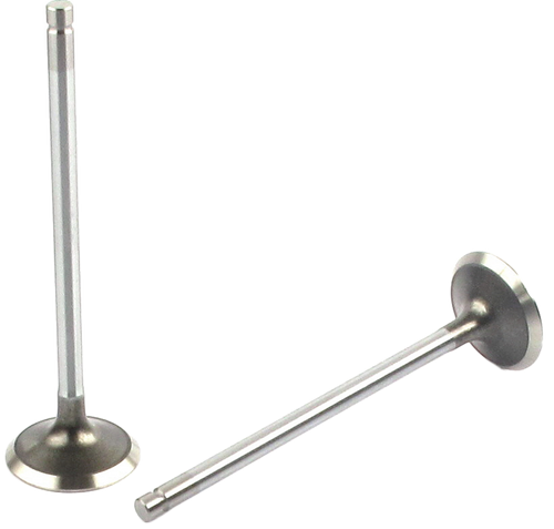 Engine Exhaust Valve (Qty 1) | 66EE-2885B