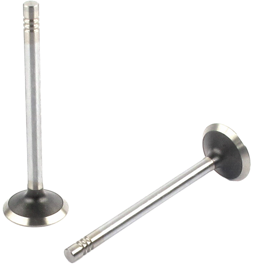 Engine Exhaust Valve | 66EE-2283B