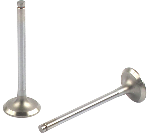 Engine Exhaust Valve (Qty 1) | 66EE-2397B