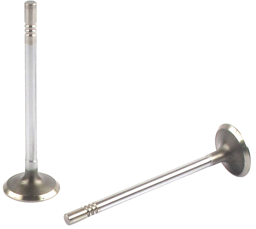 Engine Exhaust Valve | 66EE-2421B