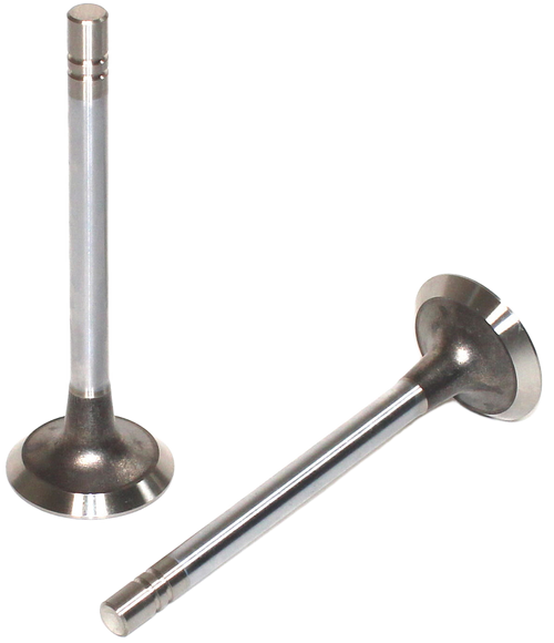 Engine Exhaust Valve (Qty 1) | 66EE-1983B