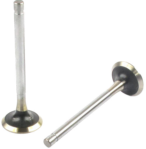 Engine Exhaust Valve (Qty 1) | 66EE-2049B