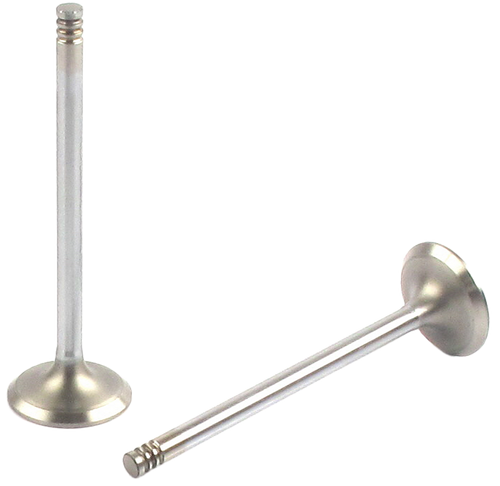 Engine Exhaust Valve | 66EE-5019B
