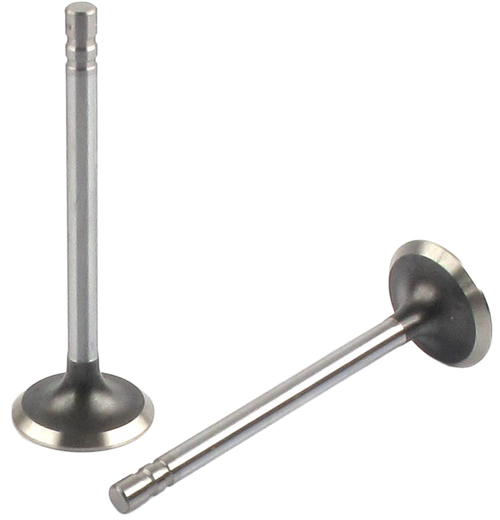 Engine Exhaust Valve (Qty 1) | 66EE-1649B