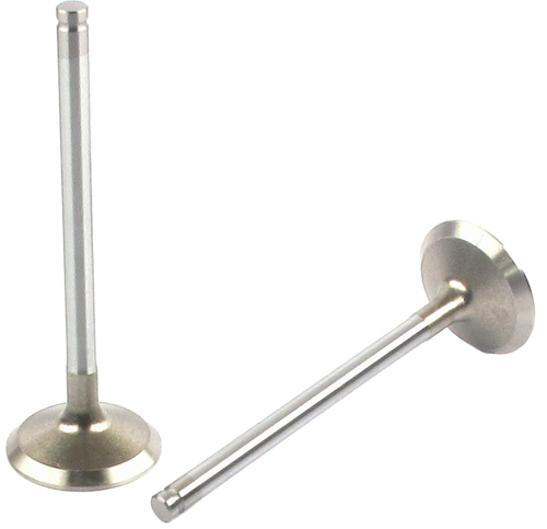 Engine Exhaust Valve (Qty 1) | 66EE-2633B