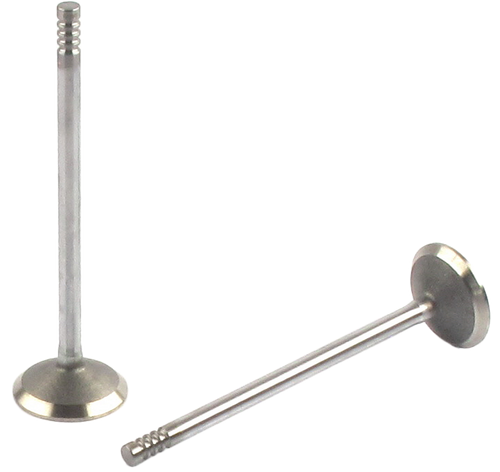 Engine Exhaust Valve (Qty 1) | 66EE-5023B