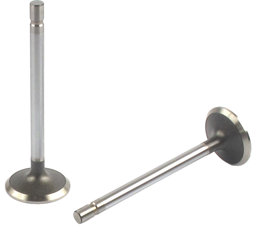 Engine Exhaust Valve | 66EE-2359B