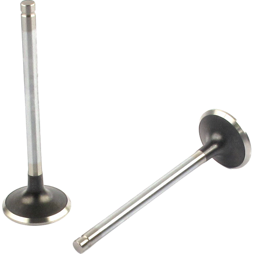 Engine Exhaust Valve | 66EE-3447B