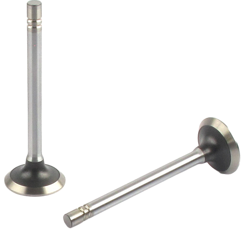 Engine Exhaust Valve (Qty 1) | 66EE-2925B