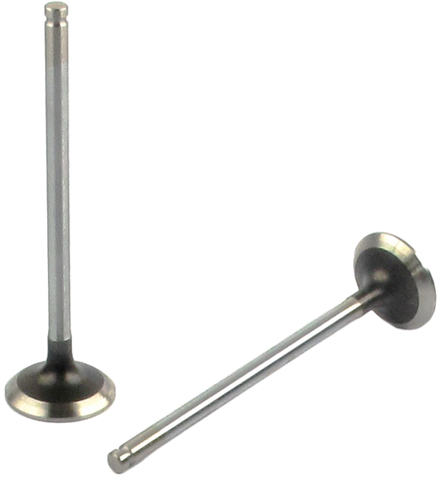 Engine Exhaust Valve | 66EE-3441B