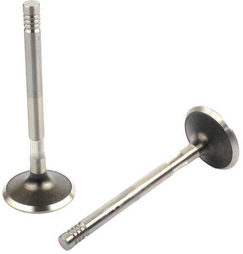 Engine Exhaust Valve | 66EE-1717B