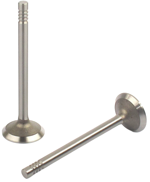 Engine Exhaust Valve | 66EE-2149B