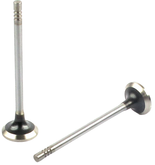 Engine Exhaust Valve | 66EE-5000B