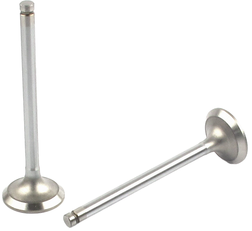 Engine Exhaust Valve | 66EE-2143B