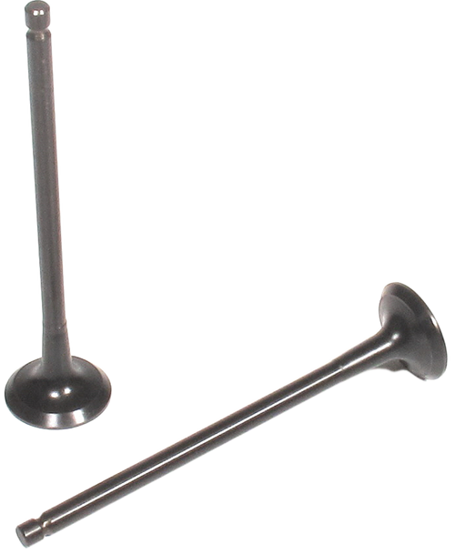 Engine Exhaust Valve | 66EE-5189B
